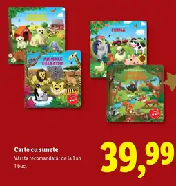 Lidl Carte cu sunete Ofertă