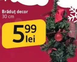 Supeco Brăduț decor Ofertă