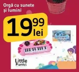 Supeco Orgă cu sunete şi lumini Ofertă