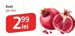 Supeco Rodii Ofertă
