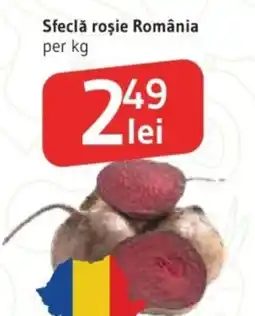 Supeco Sfeclă roșie România Ofertă