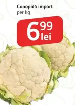 Supeco Conopidă import Ofertă