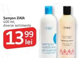 Supeco Şampon ZIAJA Ofertă