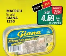 Diana Supermarket Macrou în ulei GIANA Ofertă