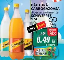 Diana Supermarket Băutură carbogazoasă diverse sortimente SCHWEPPES Ofertă