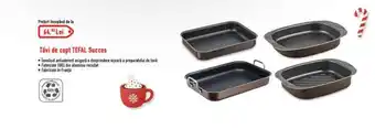 Carrefour Tăvi de copt TEFAL Succes Ofertă