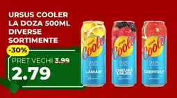 Simos Ursus cooler la doza Ofertă