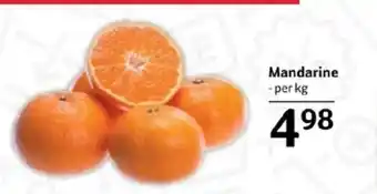 Selgros Mandarine Ofertă