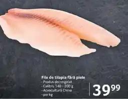 Selgros File de tilapia fără piele Ofertă