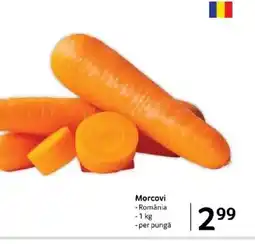 Selgros Morcovi Ofertă