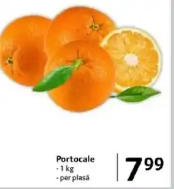 Selgros Portocale Ofertă