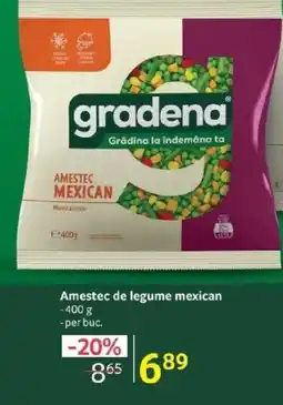 Selgros Gradena Amestec de legume mexican Ofertă