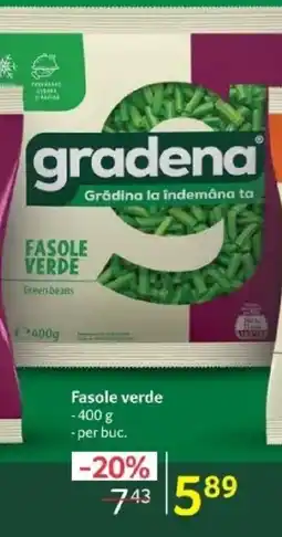 Selgros Gradena Fasole verde Ofertă