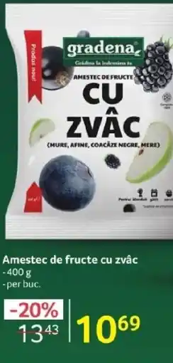 Selgros Gradena Amestec de fructe cu zvâc Ofertă