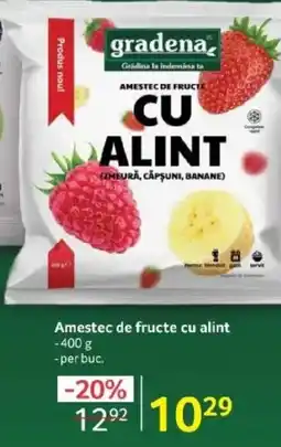 Selgros Gradena Amestec de fructe cu alint Ofertă