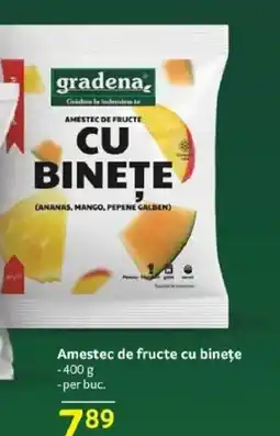 Selgros Gradena Amestec de fructe cu bineţe Ofertă