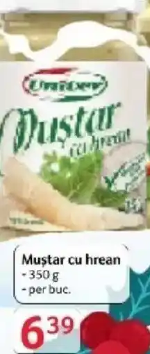 Selgros Univer Muştar cu hrean Ofertă