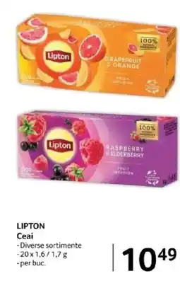 Selgros LIPTON Ceai Ofertă