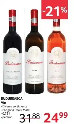 Selgros BUDUREASCA Vin Ofertă