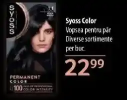 Selgros Syoss Color Vopsea pentru păr Ofertă