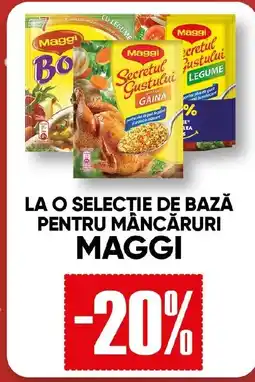 PROFI La o selectie de bază pentru mâncăruri MAGGI Ofertă