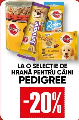 PROFI La o selectie de hrană pentru câini PEDIGREE Ofertă