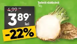PROFI Telină rădăcină Ofertă