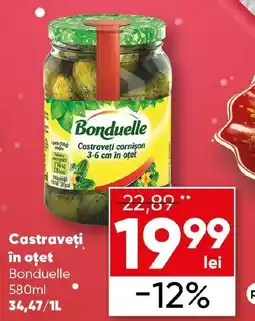 PROFI Castraveţi în oțet Bonduelle Ofertă