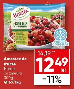 PROFI Amestec de fructe Hortex cu zmeură Ofertă