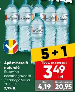 PROFI Apă minerală naturală Bucovina necarbogazoasă /carbogazoasă Ofertă