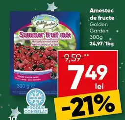 PROFI Amestec de fructe Golden Garden Ofertă