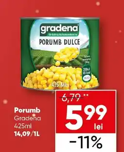 PROFI Porumb Gradena Ofertă