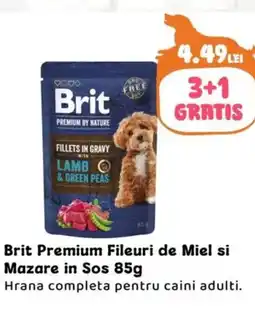 Animax Brit Premium Fileuri de Miel si Mazare in Sos Ofertă