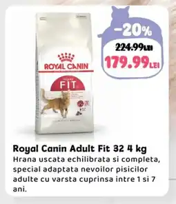 Animax Royal Canin Adult Fit 32 Ofertă