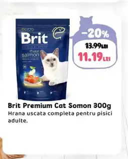 Animax Brit Premium Cat Somon Ofertă