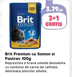 Animax Brit Premium cu Somon si Pastrav Ofertă