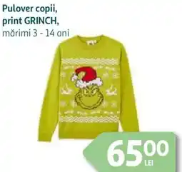 Auchan Pulover copii, print GRINCH Ofertă