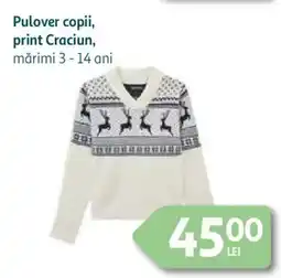 Auchan Pulover copii, print Craciun Ofertă