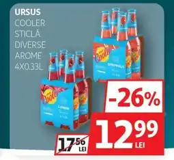 Auchan Ursus cooler sticlă Ofertă