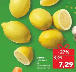 Kaufland Lămâi Ofertă
