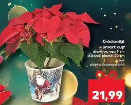 Kaufland Crăciuniţă smart cup Ofertă