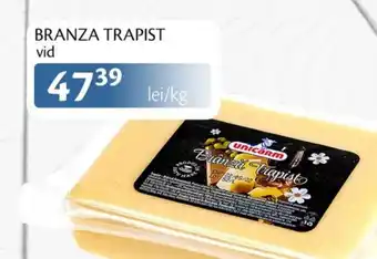 Unicarm Unicarm Branza trapist Ofertă