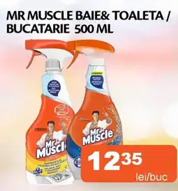 Unicarm Mr muscle baie&toaleta / bucatarie Ofertă