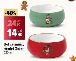 Carrefour Bol ceramic, model Gnom Ofertă