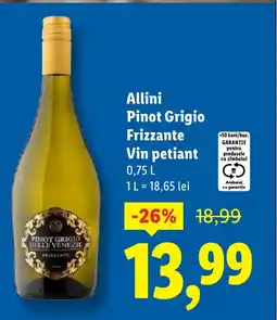Lidl Allini Pinot Grigio Frizzante Vin petiant Ofertă