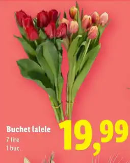 Lidl Buchet lalele Ofertă