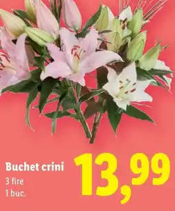 Lidl Buchet crini Ofertă