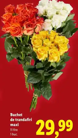Lidl Buchet de trandafiri maxi Ofertă