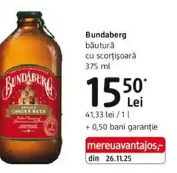 DM Bundaberg băutură cu scorţişoară Ofertă