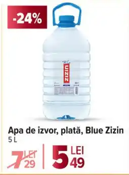 Carrefour Market Apa de izvor, plată, Blue Zizin Ofertă